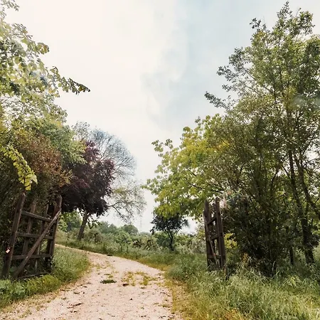Donkeys And Roses La Serra * Orte